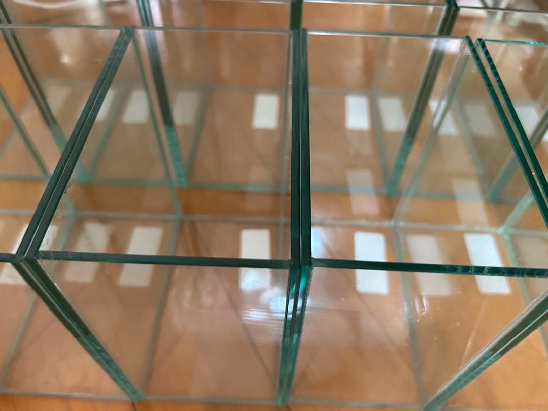 ベタ　コレクションケースM 12個