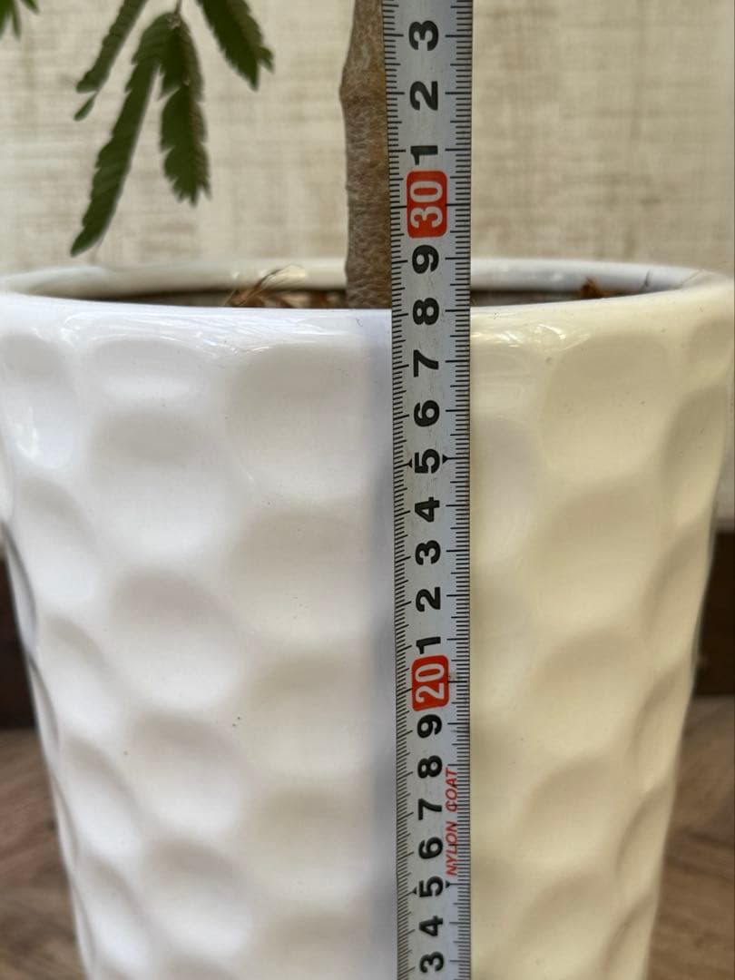 エバーフレッシュ♪ 112cm ホワイト陶器♪