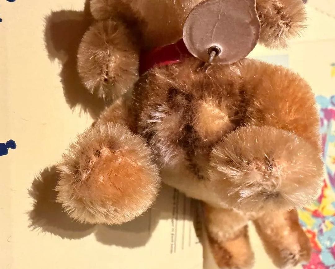 ベルリン購入　超美品シュタイフ 1950年代のダックスフンド　グラスアイ