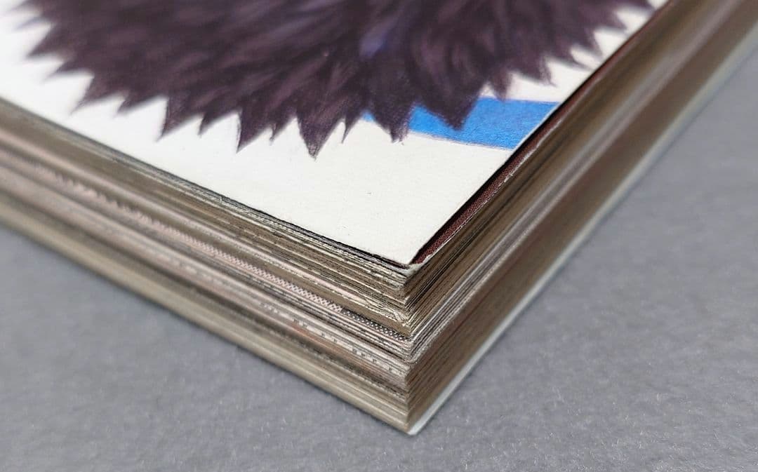 ヤングアニマル2012年3号ベルセルク表紙両面BIGポスター付録未開封三浦建太郎