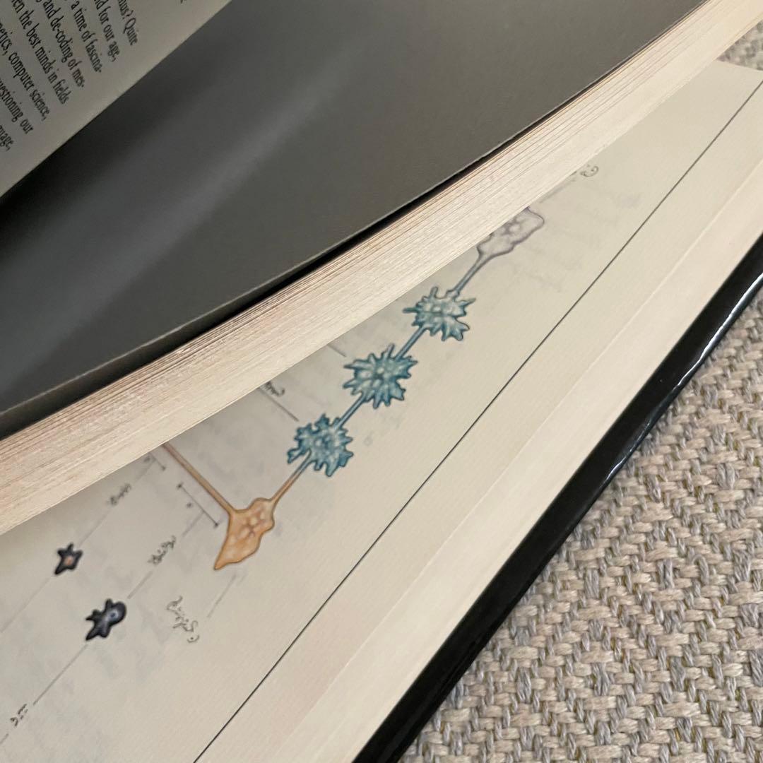 希少　Codex Seraphinianus アメリカ版初版