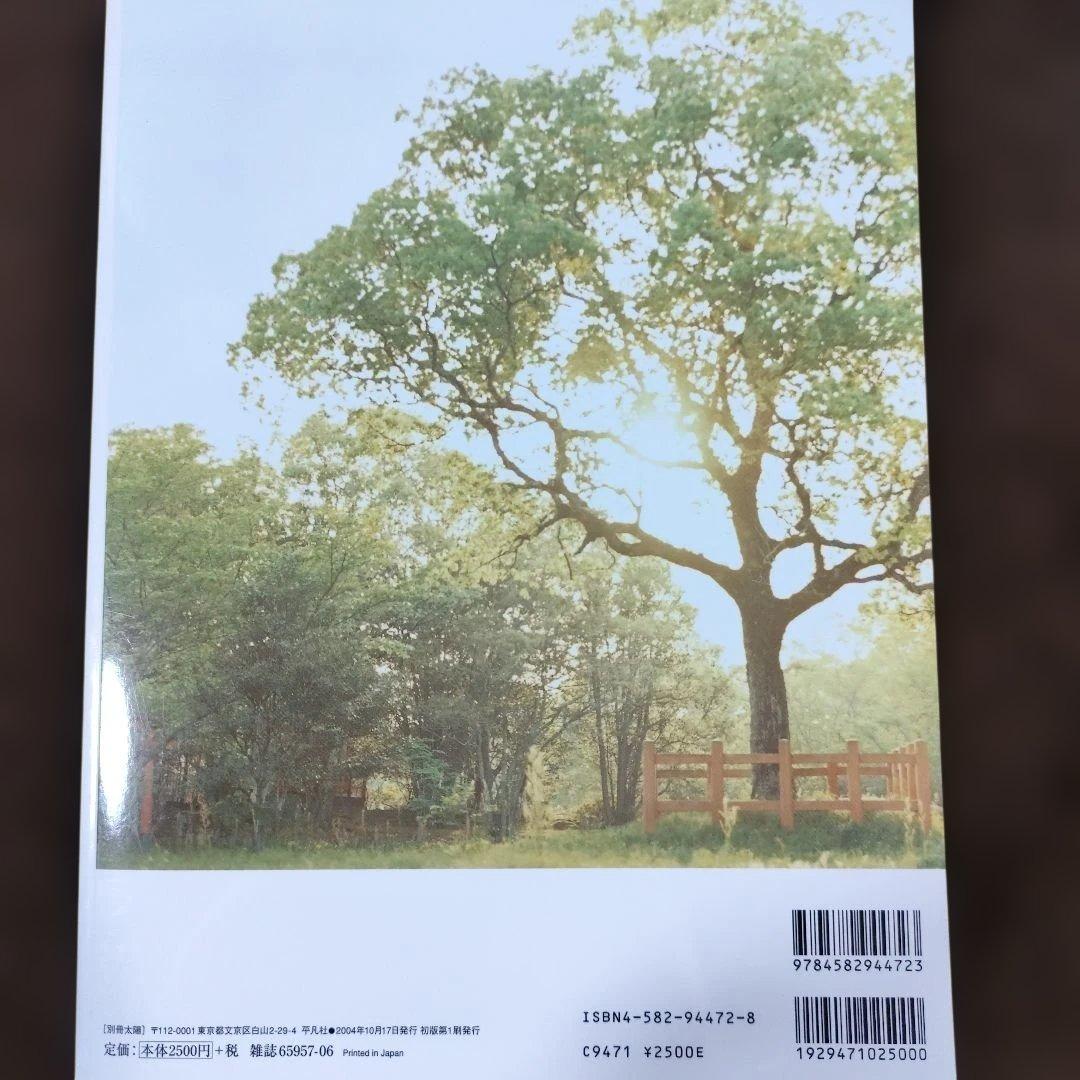 神像の美 すがたなきものの、かたち。別冊太陽