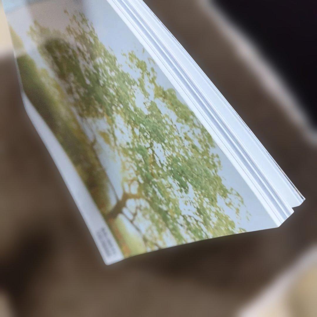 神像の美 すがたなきものの、かたち。別冊太陽