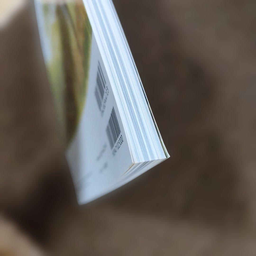 神像の美 すがたなきものの、かたち。別冊太陽