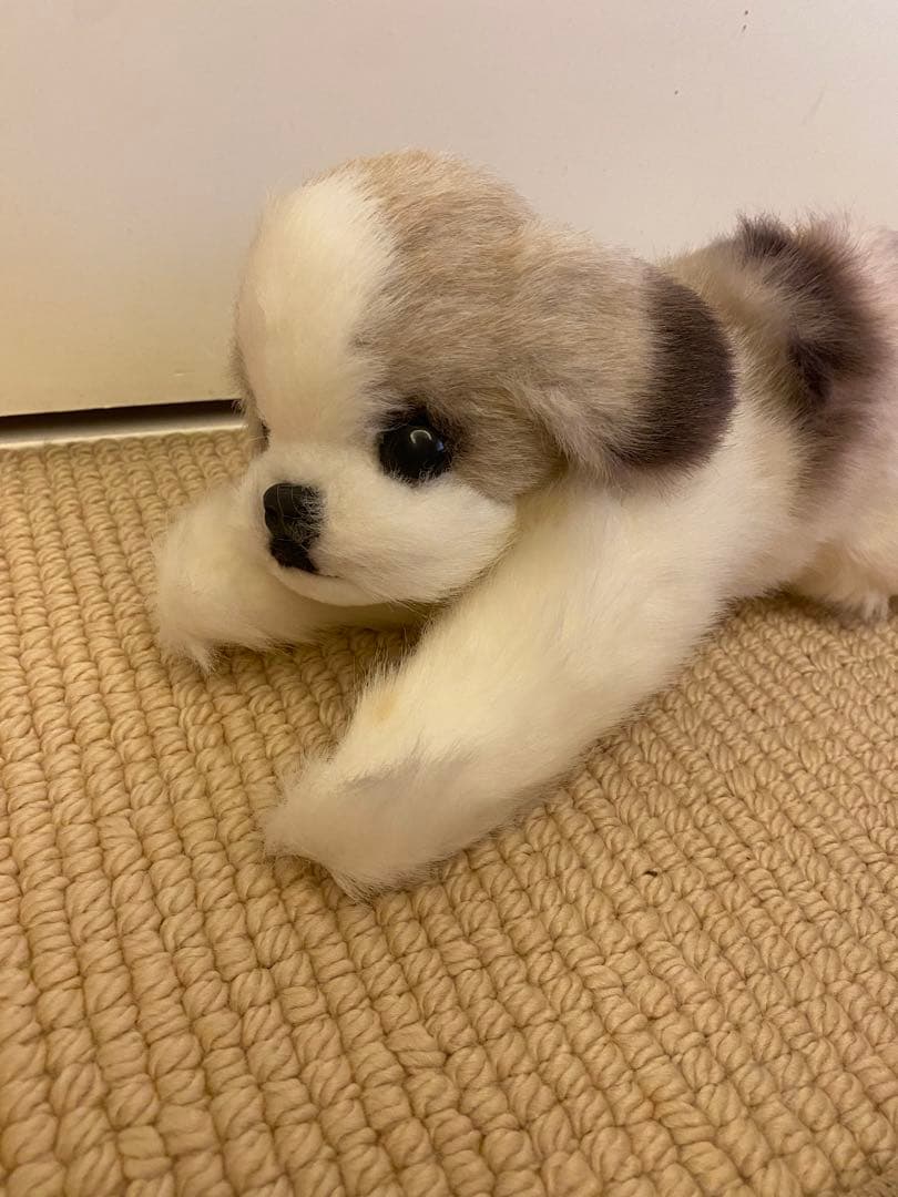 四季オリジナル　シーズー　ぬいぐるみ　新品