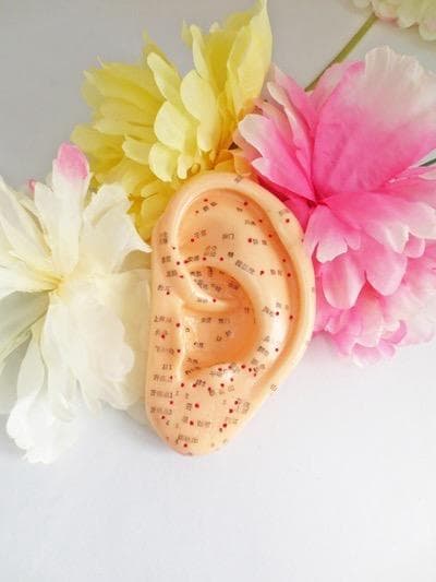 【通信講座】２資格／耳つぼダイエットインストラクター&耳つぼ認定講師／認定証２枚