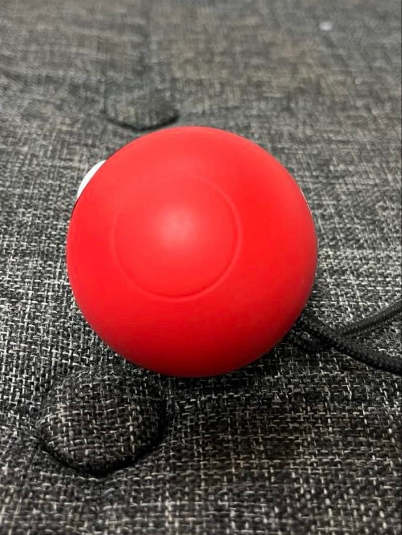 貴重Switch ポケモン　Let's Go! ピカチュウ + モンスターボール