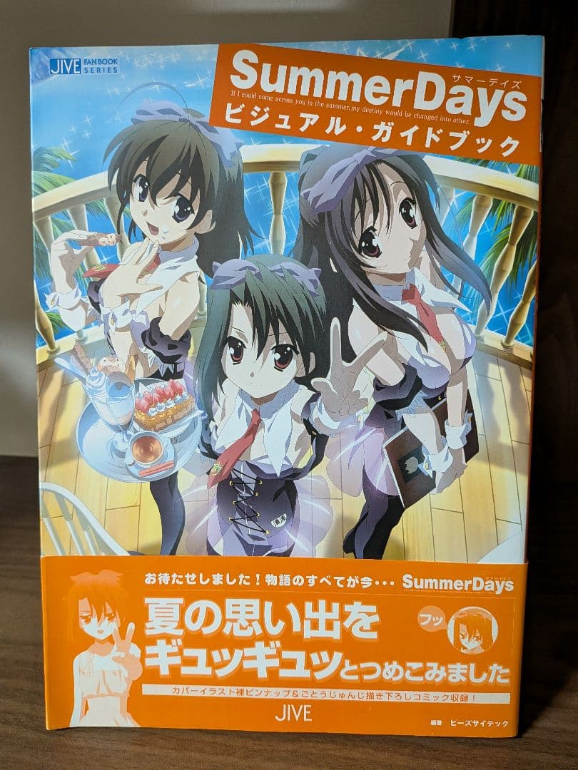【初版帯付】Summer Days & School Days ビジュアル本2冊
