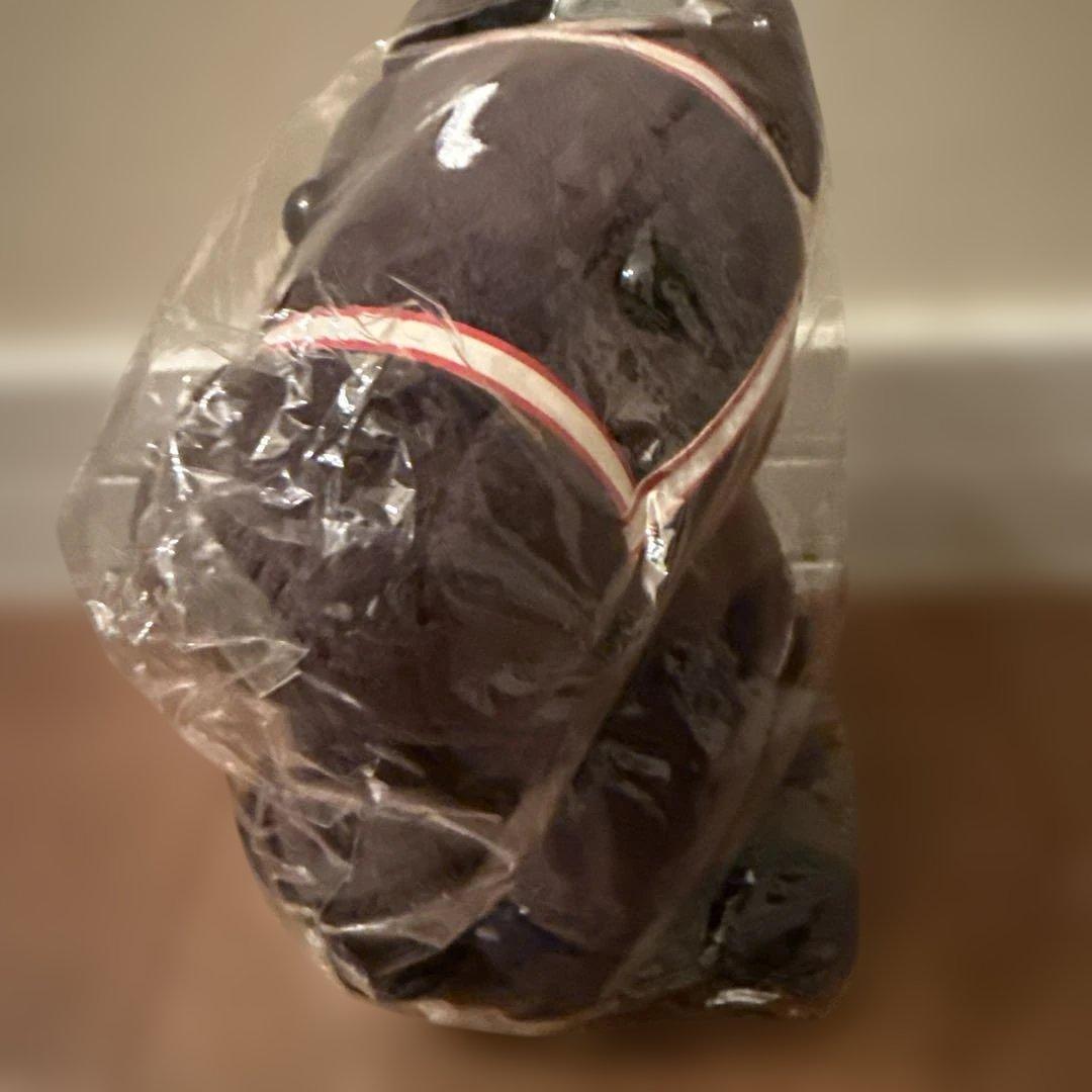 アイドルホース　日本ダービー　コントレイル　Mサイズ