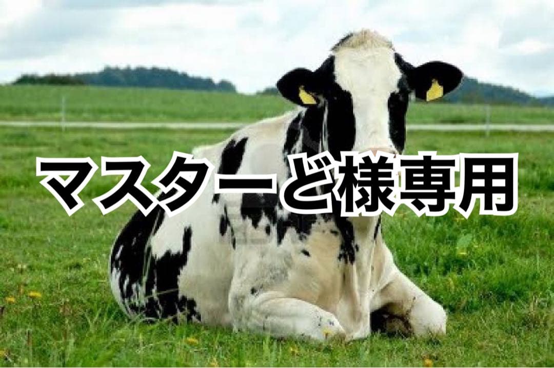 黒20、キャメル50