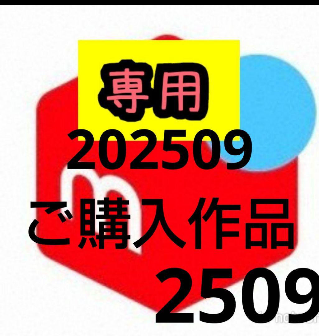 #ミーカ専用出品202509ご購入作品