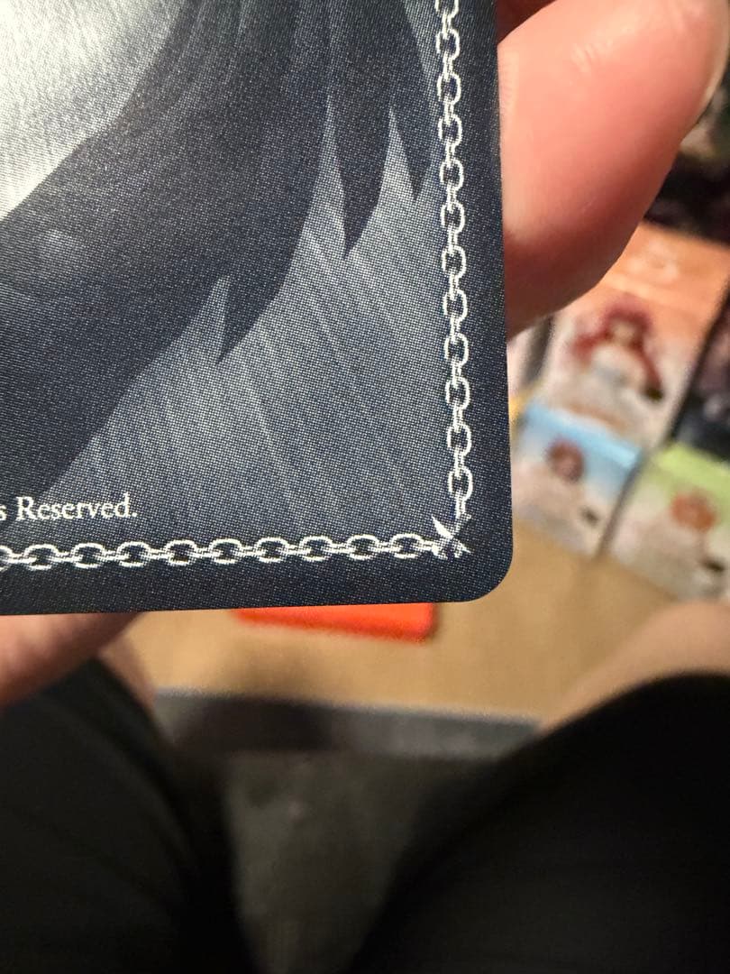 ヴァイス STEINS;GATE 中国版　秋葉瑠未穂サイン