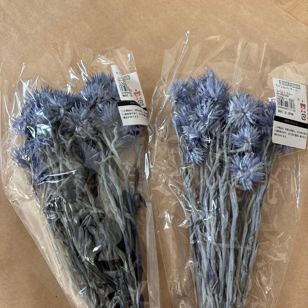 ドライフラワー花材セット