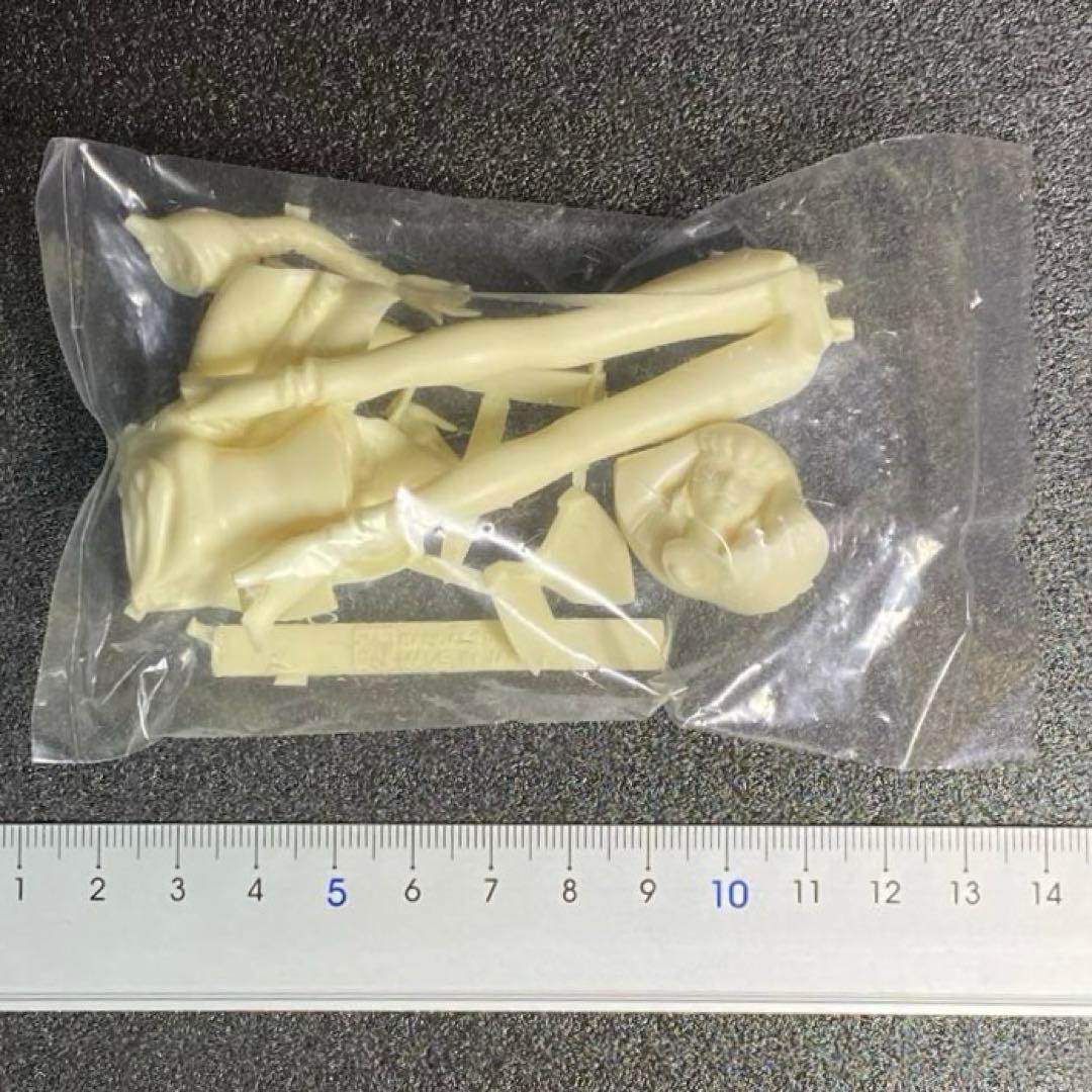 ハマーン・カーン レジン キャスト キット Zガンダム ガレージキット ゼータ