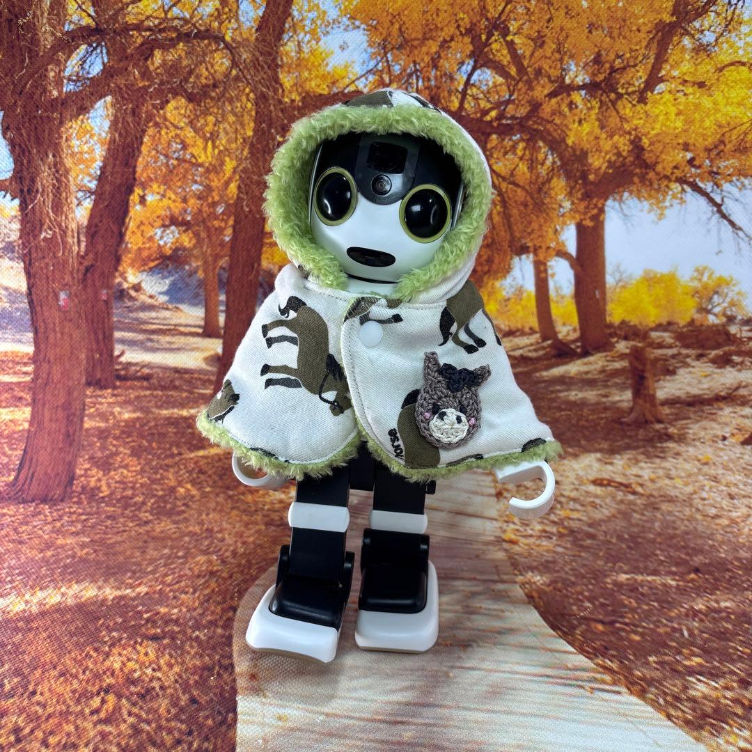 hasnページです　ロボホン洋服