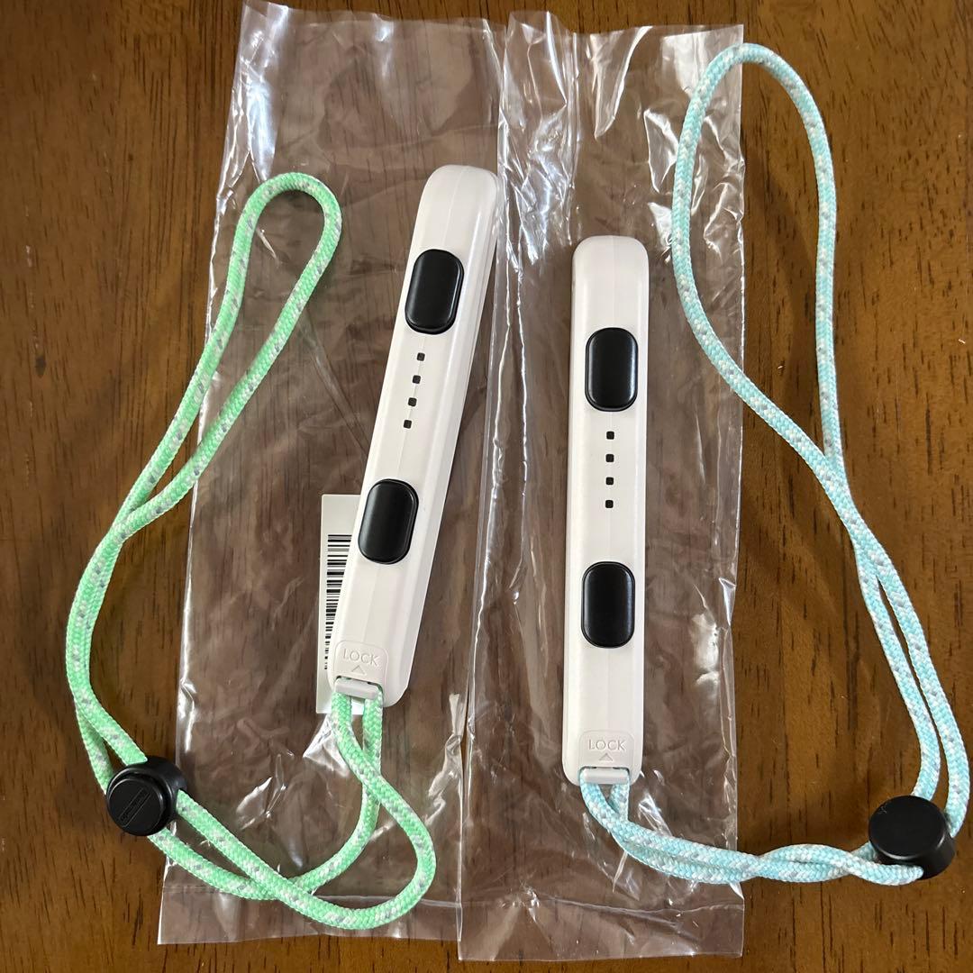 あつまれ どうぶつの森デザイン Nintendo Switch 本体 あつ森