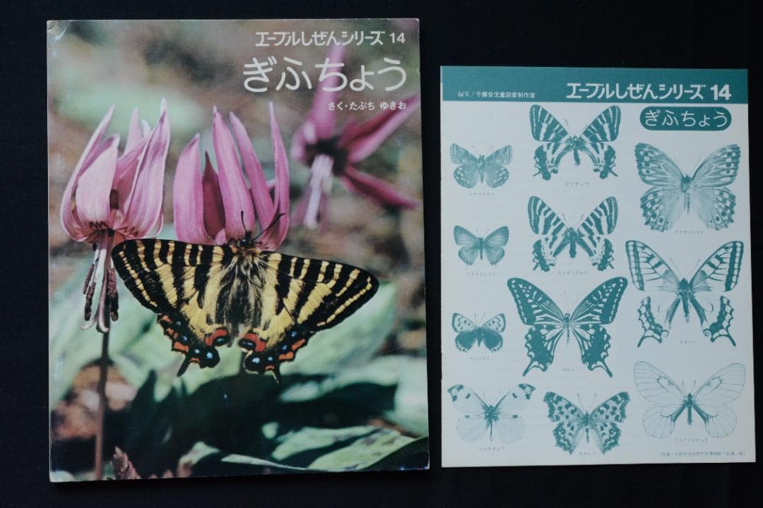 【ぎふちょう：写真絵本】田淵行男写真集　初版発行　★★大幅に値下げしました