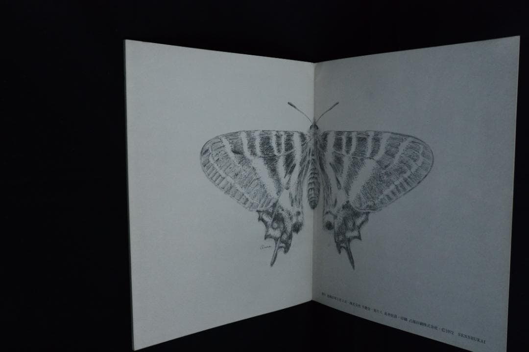 【ぎふちょう：写真絵本】田淵行男写真集　初版発行　★★大幅に値下げしました