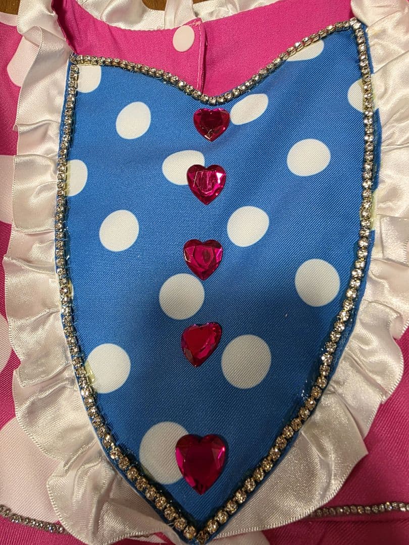 オ*︎様 ワケアリ　140センチ　ミニー コスプレ パルパルーザ　ファンダーラン