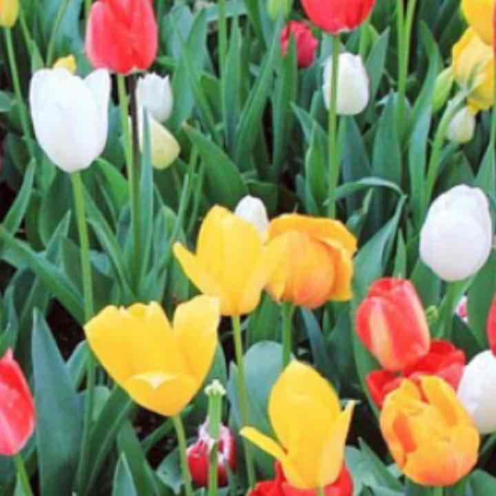 売り切れました     アロマ付空気清浄器