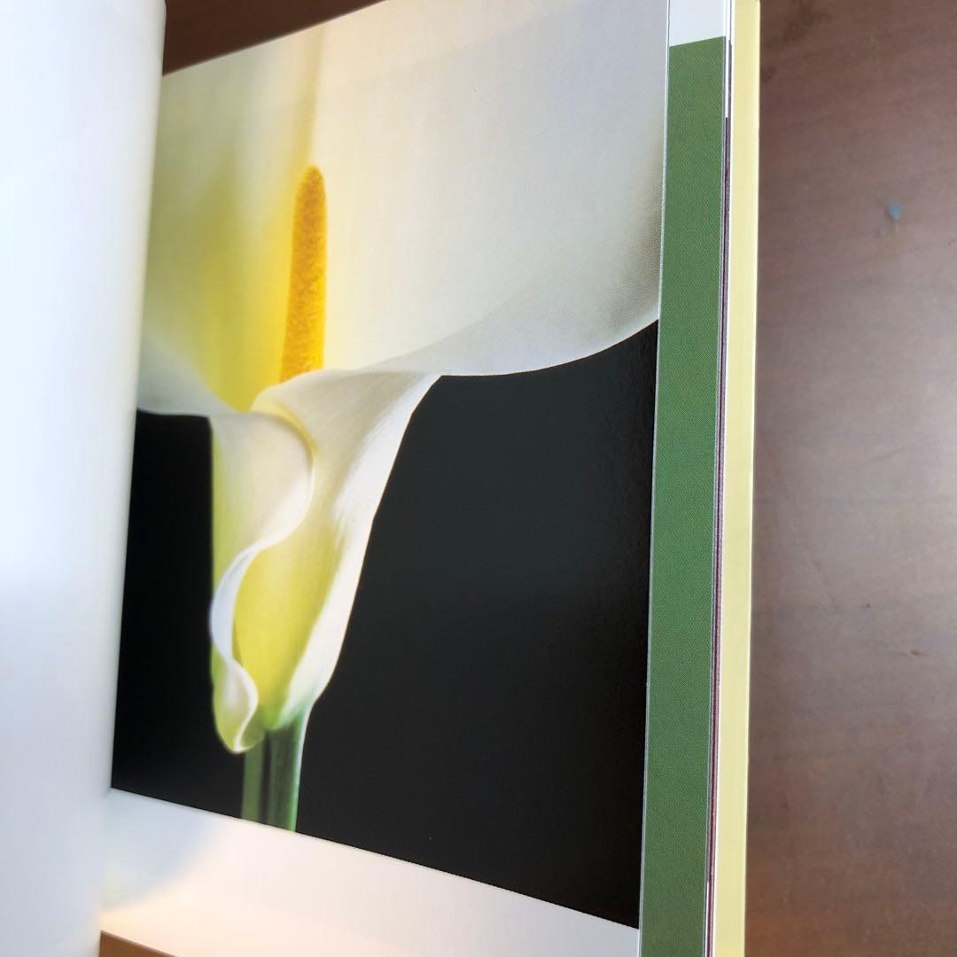 (レア)Flowers by Mapplethorpe メイプルソープの花 洋書