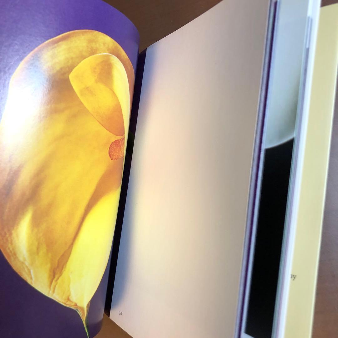 (レア)Flowers by Mapplethorpe メイプルソープの花 洋書