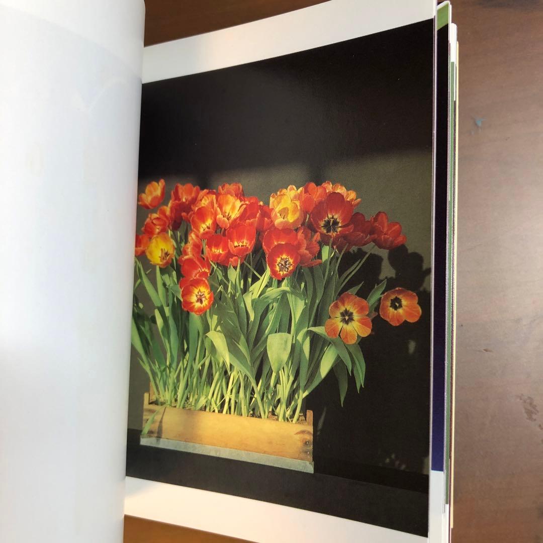 (レア)Flowers by Mapplethorpe メイプルソープの花 洋書