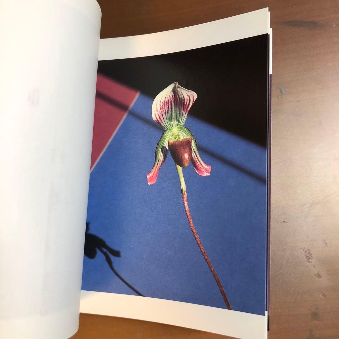 (レア)Flowers by Mapplethorpe メイプルソープの花 洋書