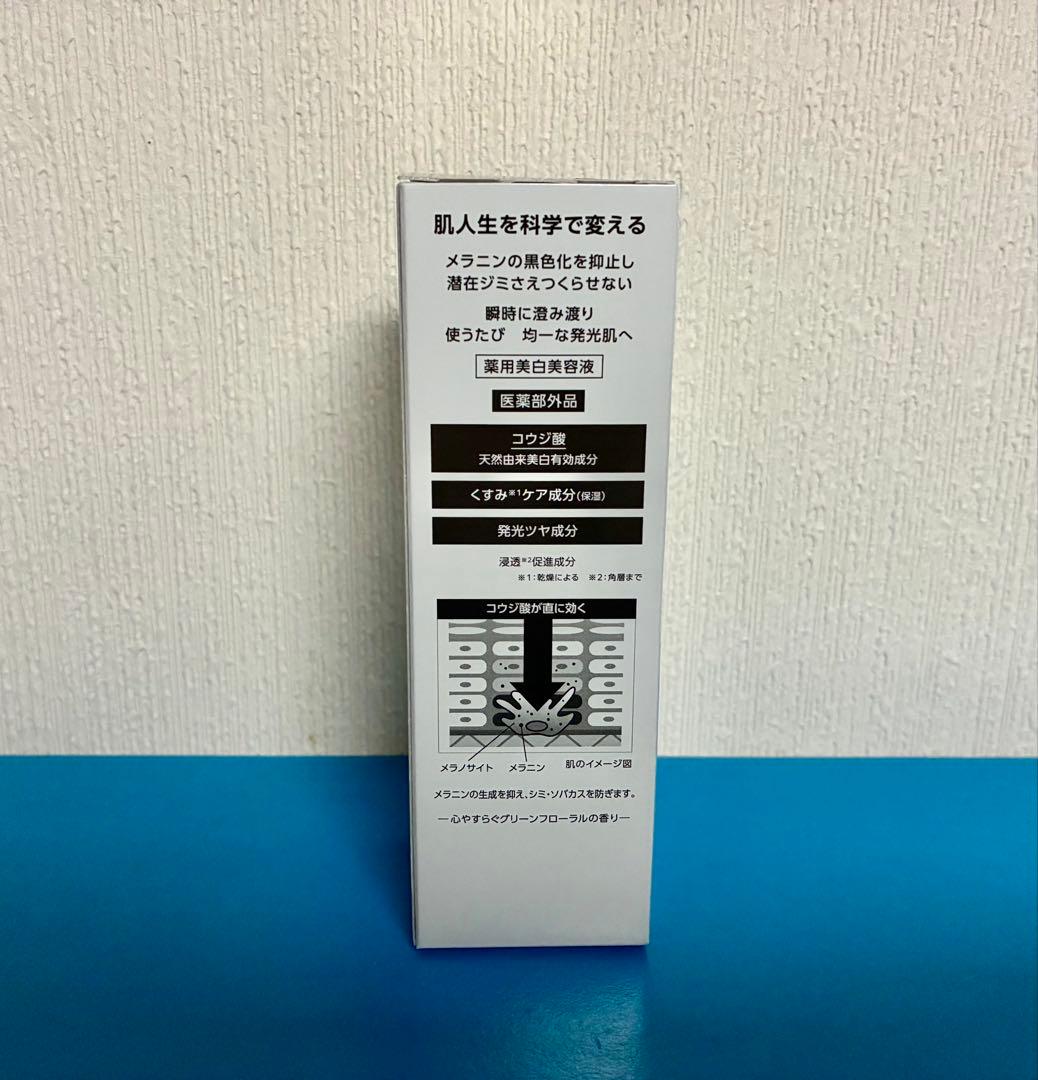 HAKU メラノフォーカスIV 45g 2本