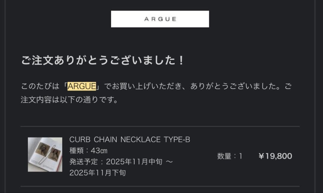 argue ネックレス　CURB CHAIN NECKLACE TYPE-B