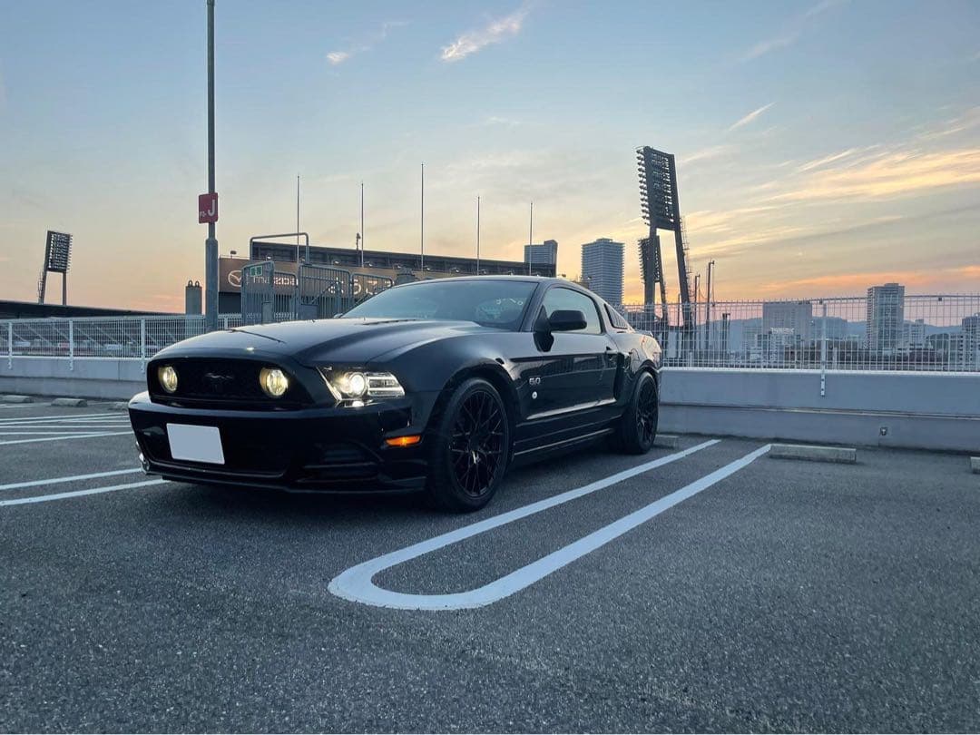 TSW セブリング　マットブラック　19インチ