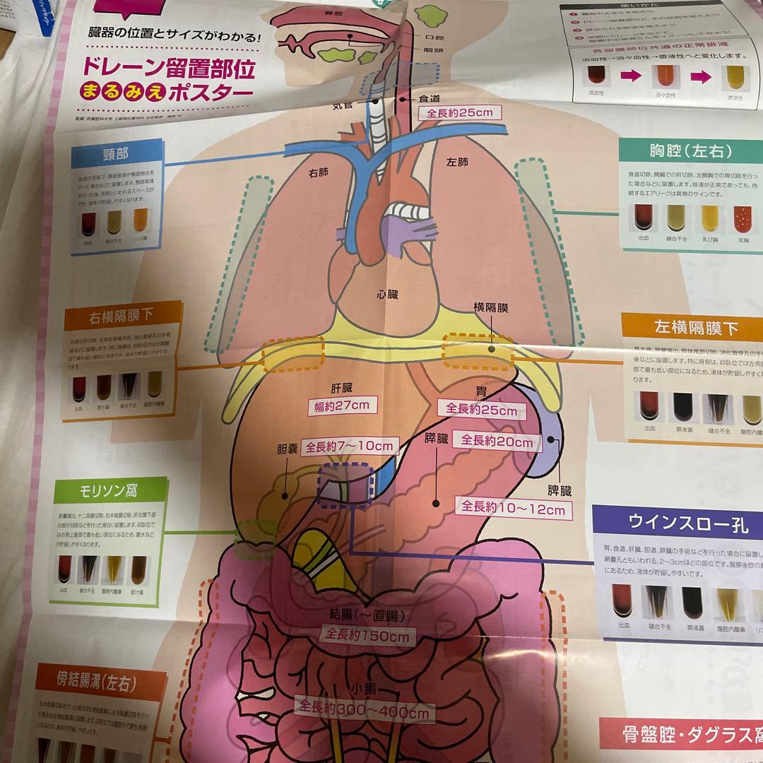 看護学生向け・看護実習に！【消化器・看護】　専門書9冊セット