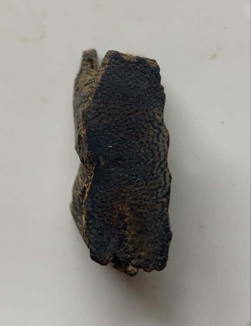 極上緑油伽羅 沈香 香木 沈香線香 緑油伽羅 重さ:2g 限定価格