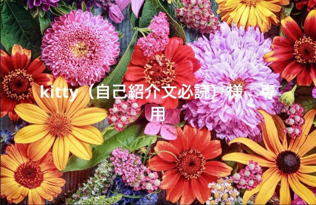 kitty（自己紹介文必読）