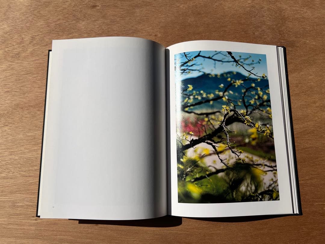 Lana by Terri Weifenbach ハードカバー