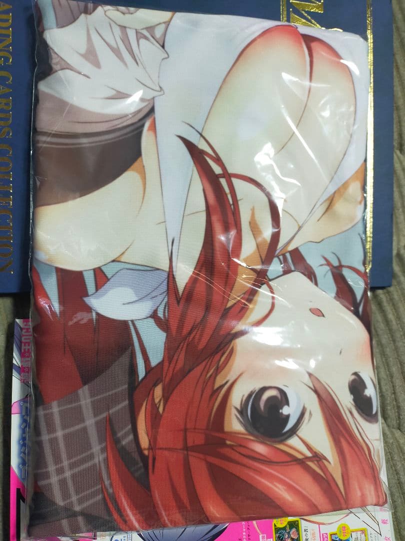 DEAD OR SCHOOL[ファミ通DXパック] 枕カバーのみ