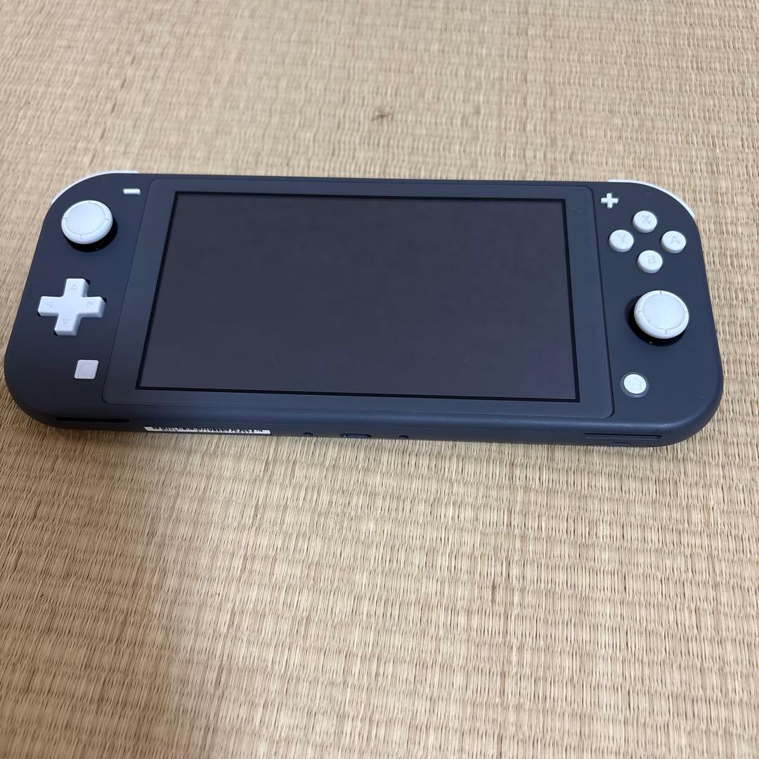nintendo switch Lite グレー　ケース、外箱、保護フィルム付き
