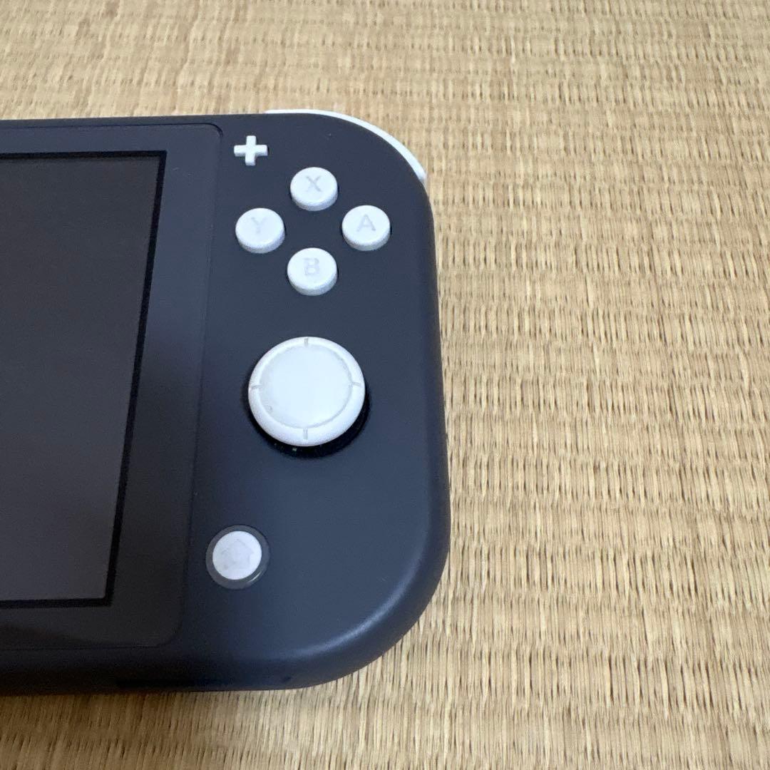 nintendo switch Lite グレー　ケース、外箱、保護フィルム付き