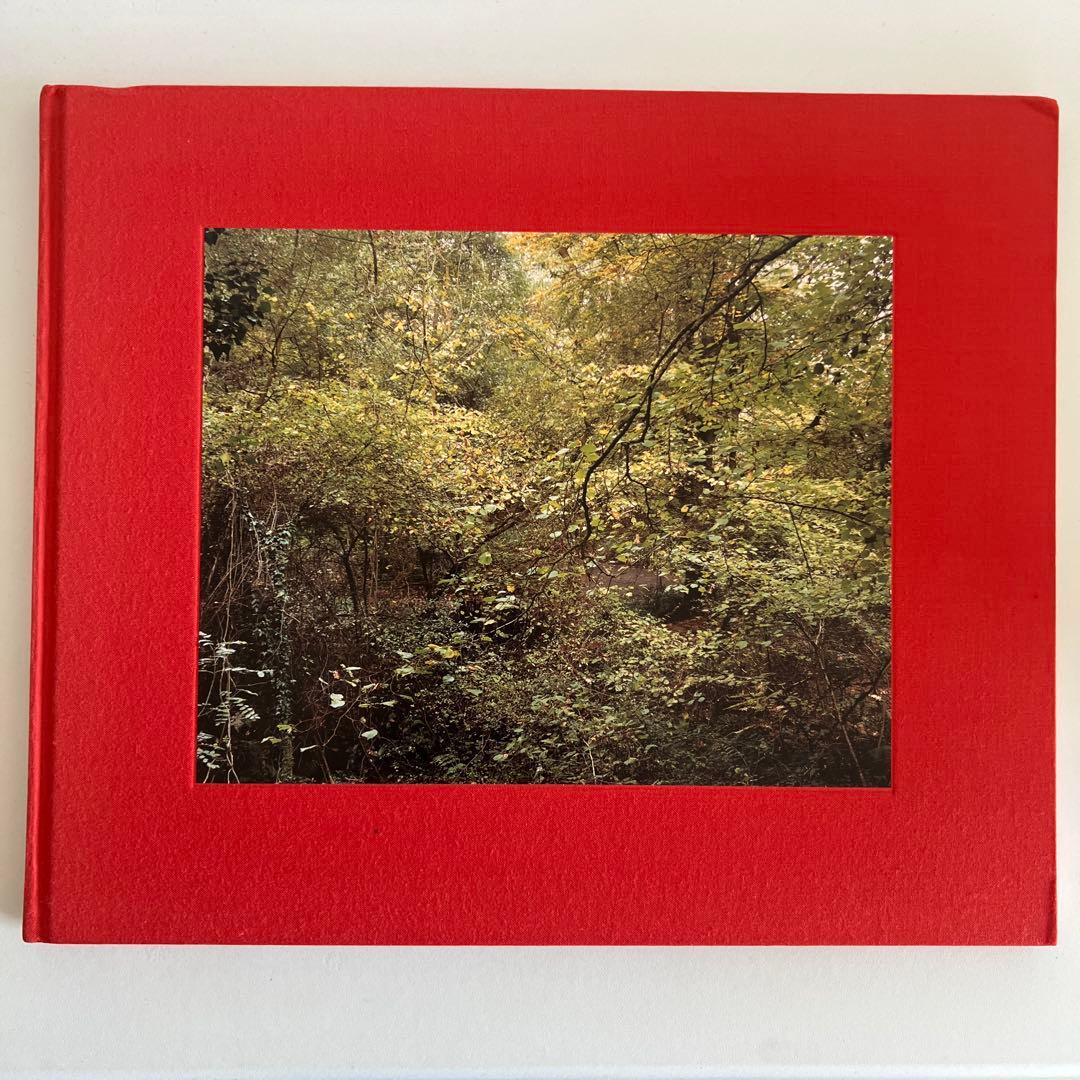 洋書 Jem Southam / The Painter's Pool