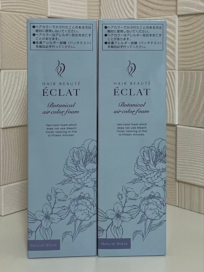 ヘアボーテ エクラ ボタニカルエアカラーフォーム up ナチュラルブラック 2本
