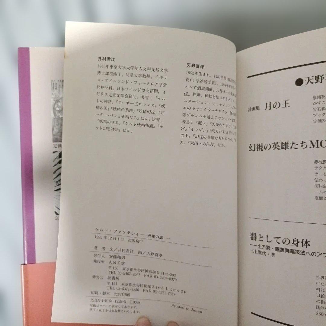 クリスマスセール！【直筆イラスト＆サイン入り】初版 天野喜孝 ケルトファンタジィ