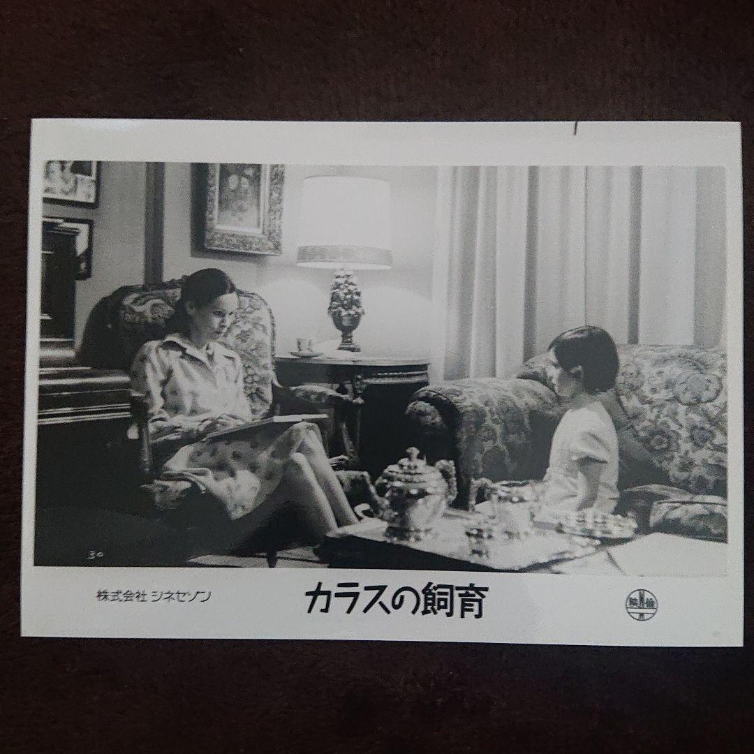 カラスの飼育 アナトレント ロビーカード