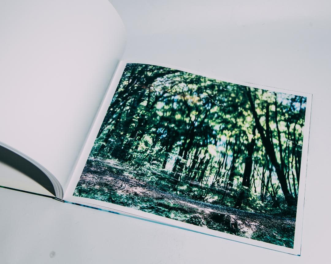 Water Mirror 鈴木理策 / Risaku Suzuki