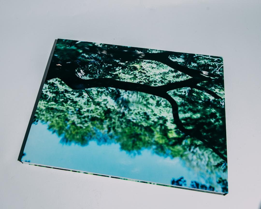 Water Mirror 鈴木理策 / Risaku Suzuki