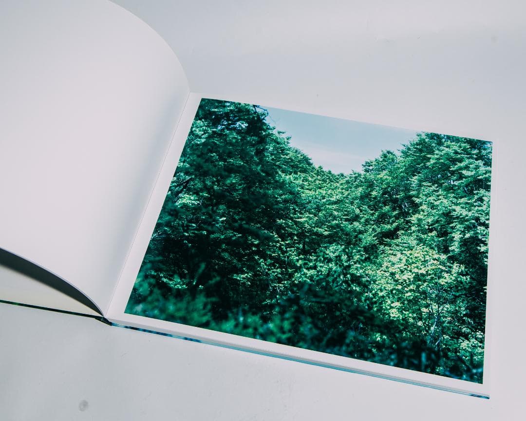 Water Mirror 鈴木理策 / Risaku Suzuki