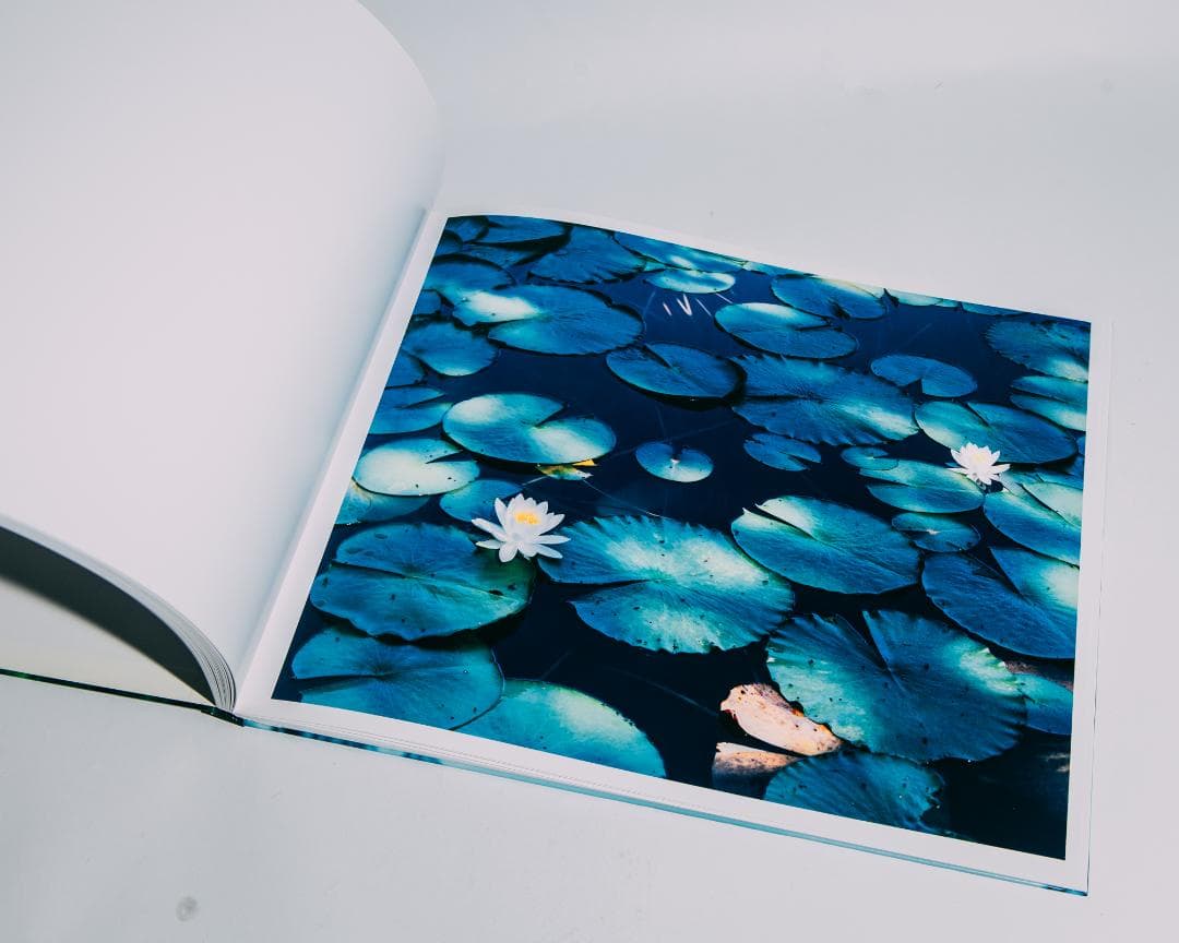 Water Mirror 鈴木理策 / Risaku Suzuki