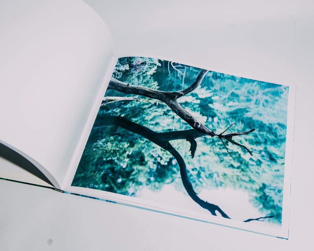 Water Mirror 鈴木理策 / Risaku Suzuki