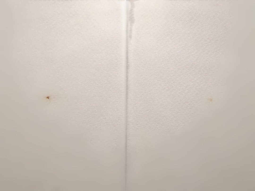 2冊揃 聖徳太子尊像聚成　本文・図版編　石田茂作著 大型本