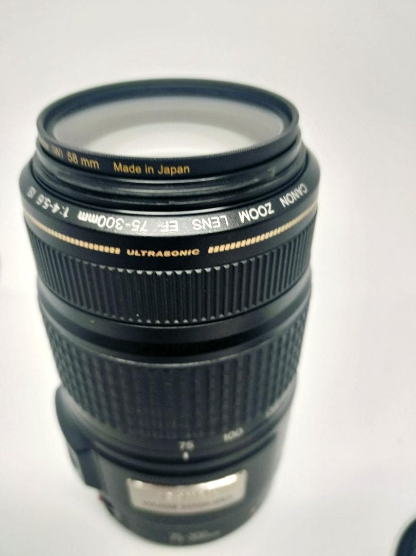 Canon EF75-300mm F4-5.6 IS USM　美品