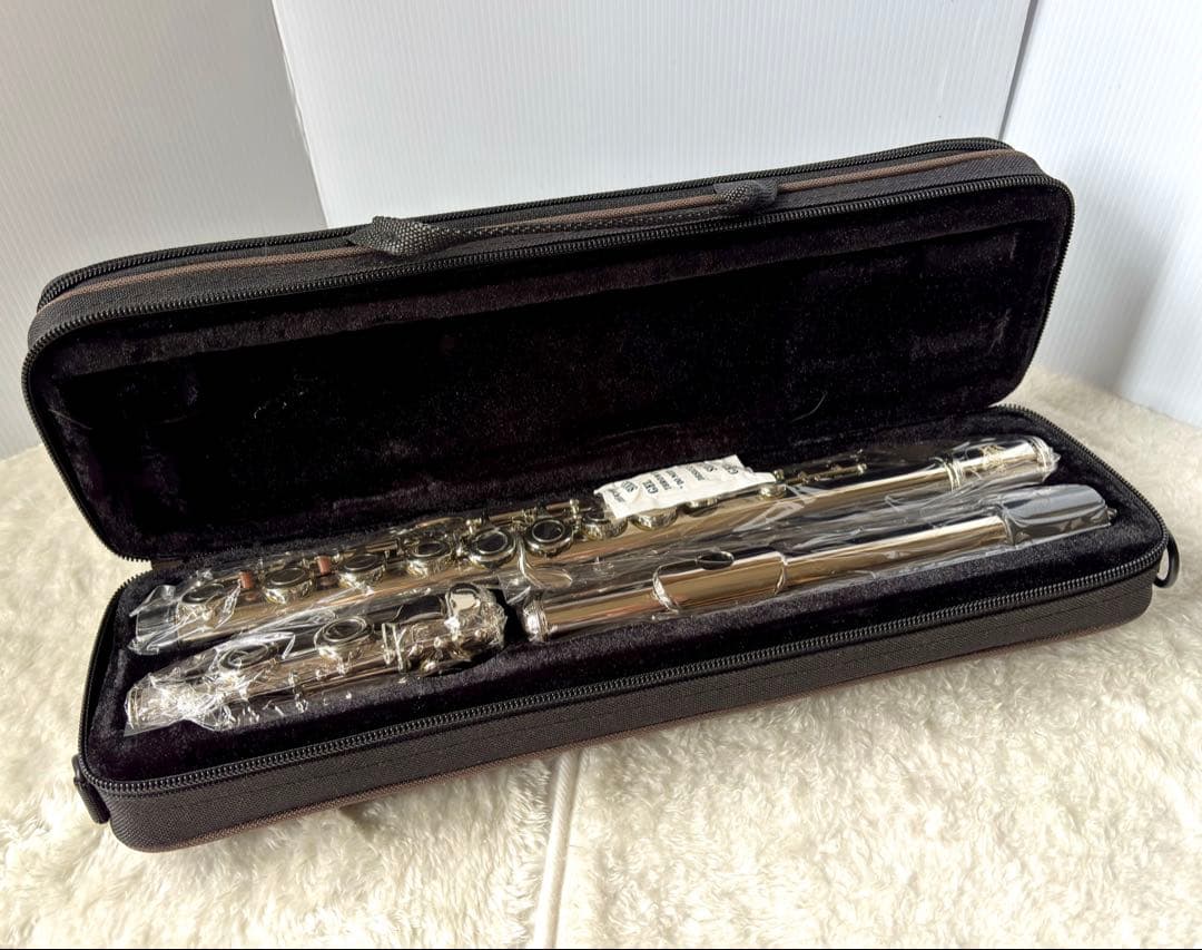 【Eastar】未使用フルート 16穴 クローズドタイプ 初心者セット